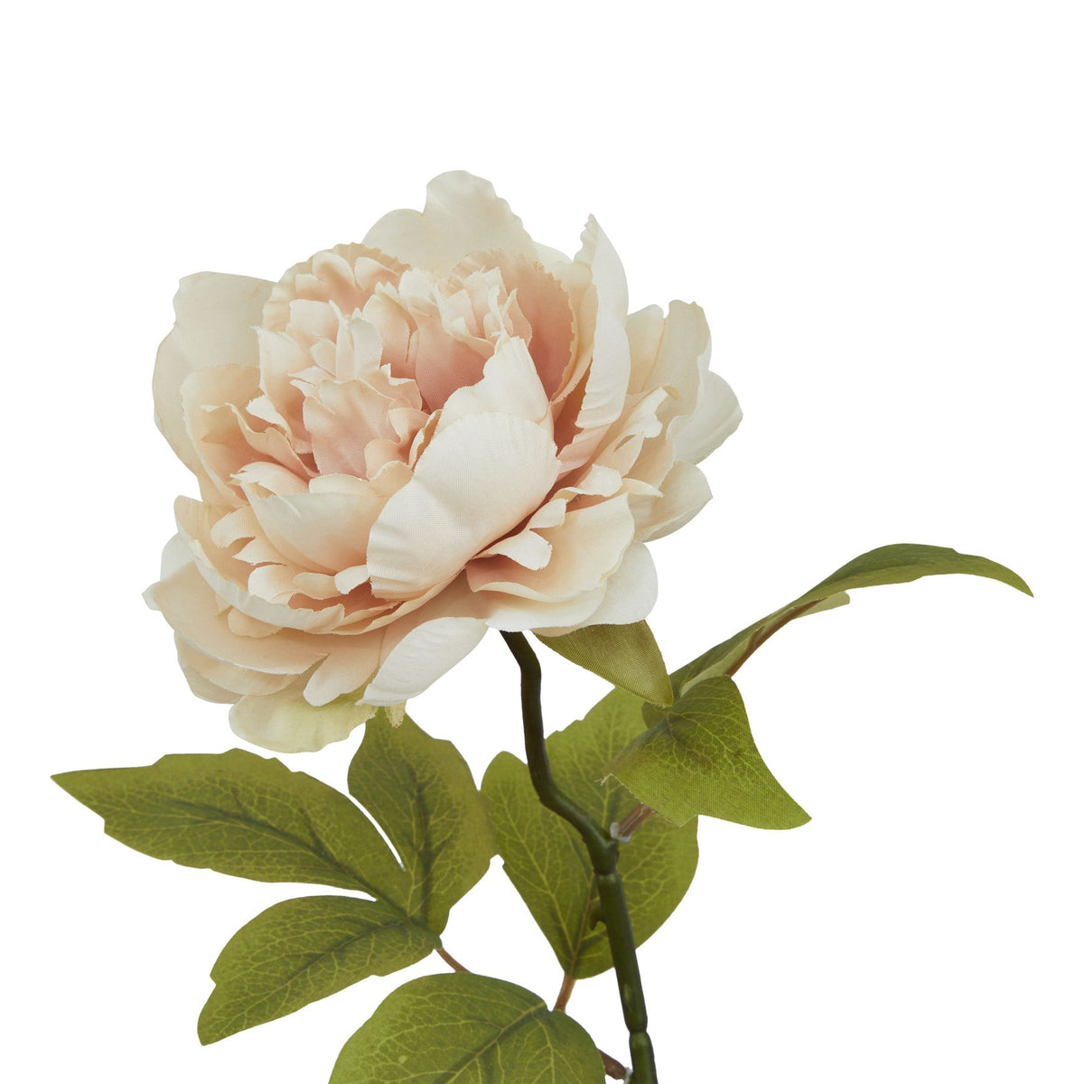 The Natural Garden Collection Blush Peony - PLAINLY DOES IT