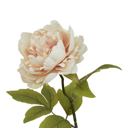 The Natural Garden Collection Blush Peony - PLAINLY DOES IT