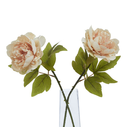 The Natural Garden Collection Blush Peony - PLAINLY DOES IT