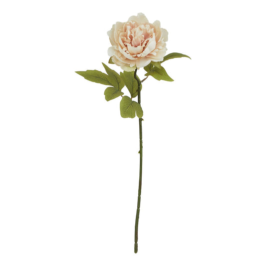 The Natural Garden Collection Blush Peony - PLAINLY DOES IT