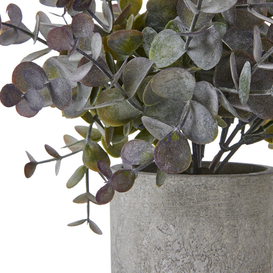 Small Eucalyptus Cinerea Plant In Grey Pot - PLAINLY DOES IT