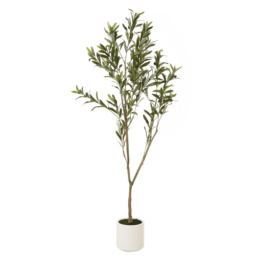 Apulia Olive Tree In White Pot 150Cm - PLAINLY DOES IT