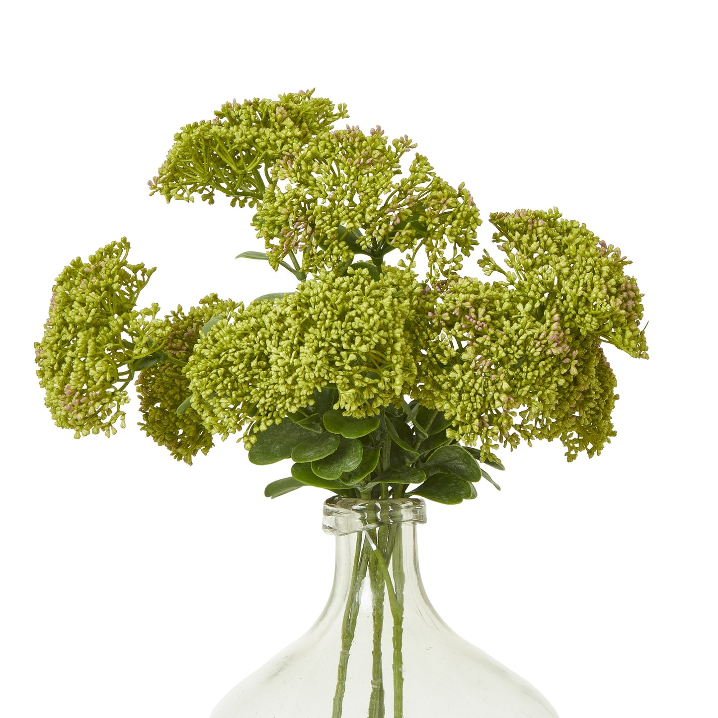 Green flowers in a clear vase on a white background