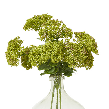 Green flowers in a clear vase on a white background