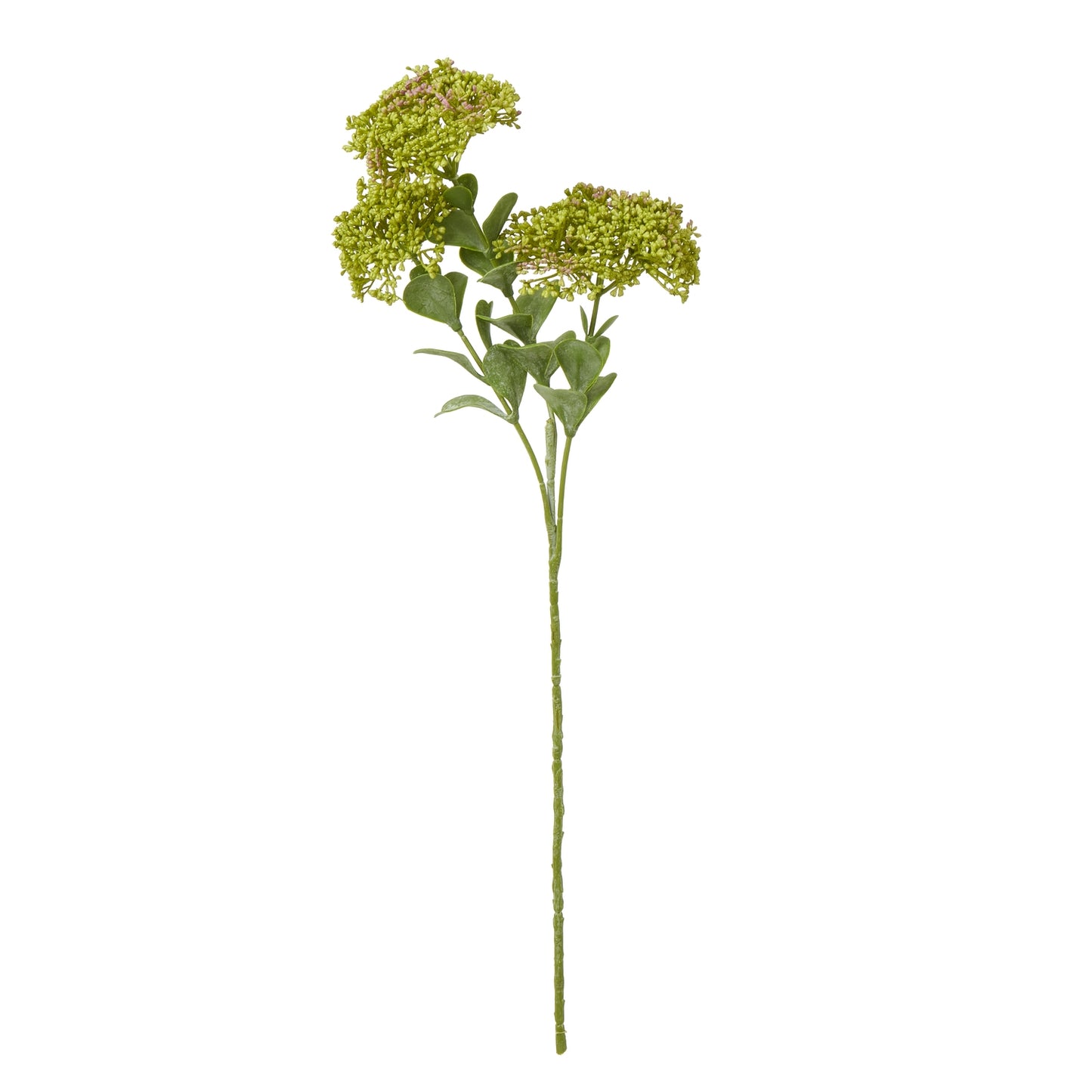 Artificial green flower branch on a white background