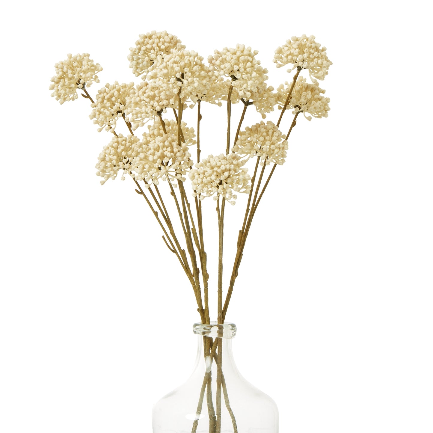 Clear glass vase with dried flowers on a white background