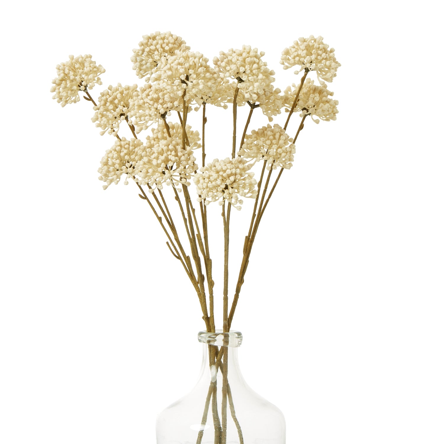 Clear glass vase with dried flowers on a white background