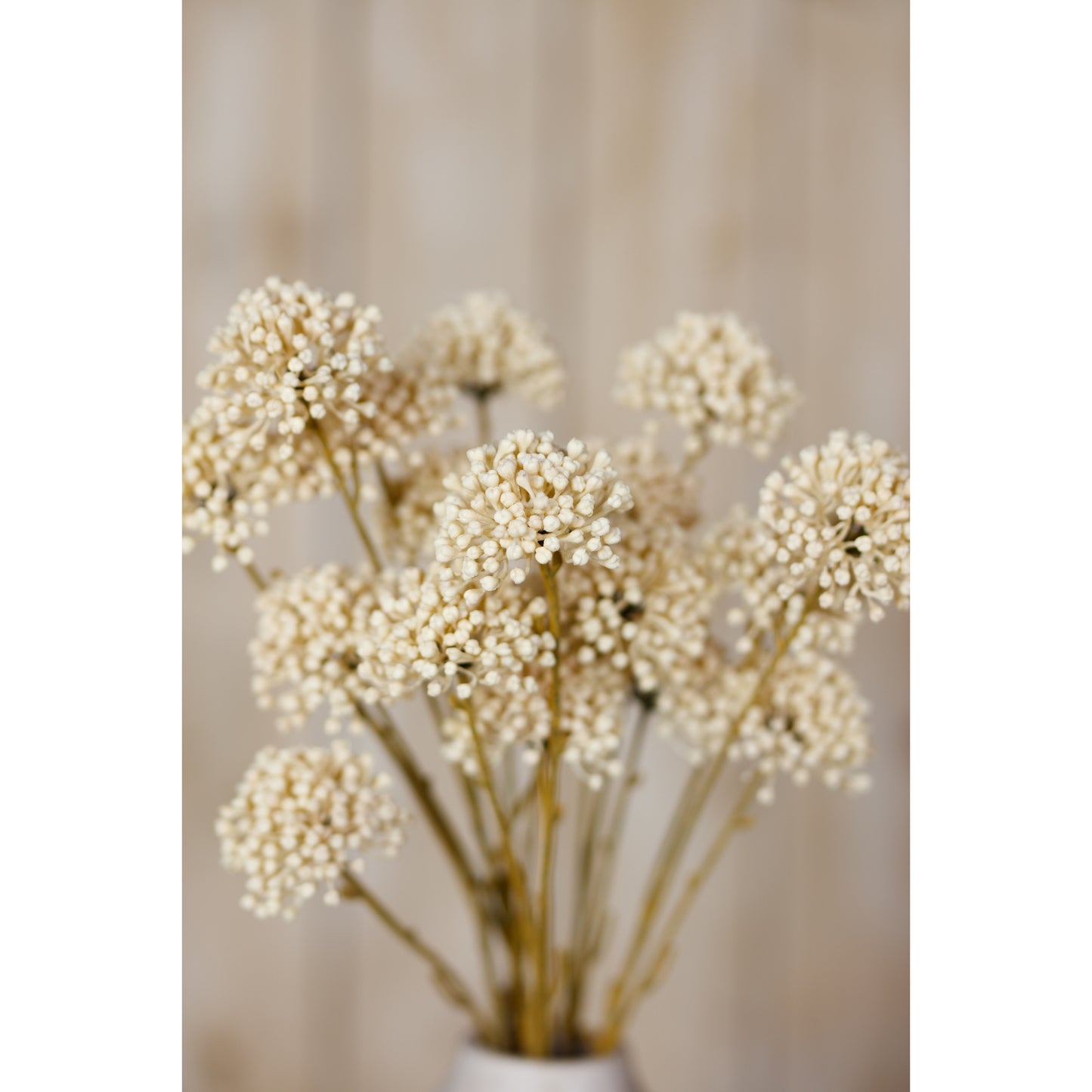 Bouquet of dried flowers in a white vase against a neutral background
