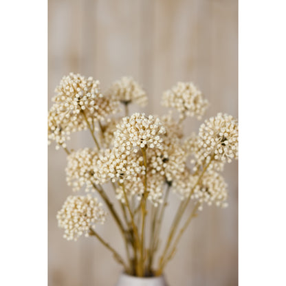 Bouquet of dried flowers in a white vase against a neutral background