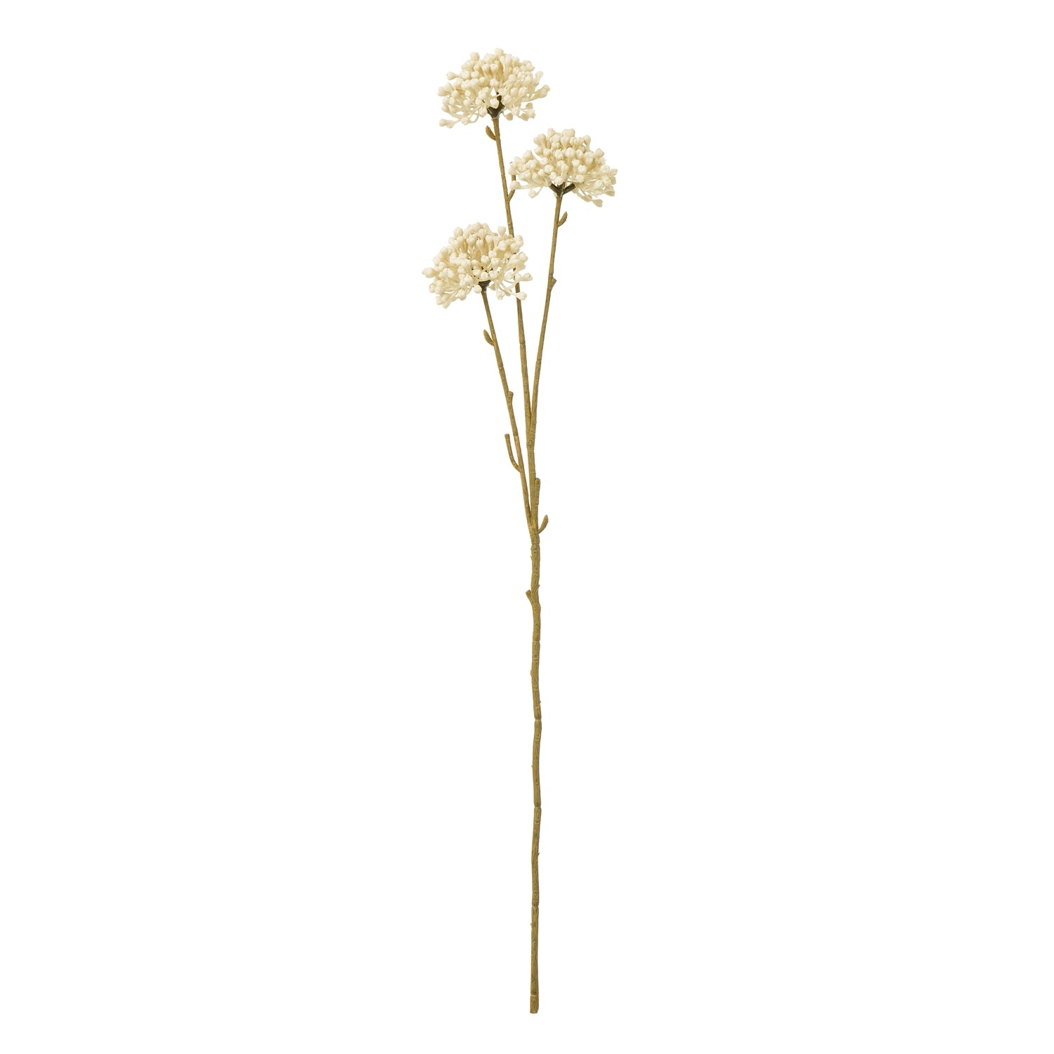 Artificial flower stem with white flowers on a white background