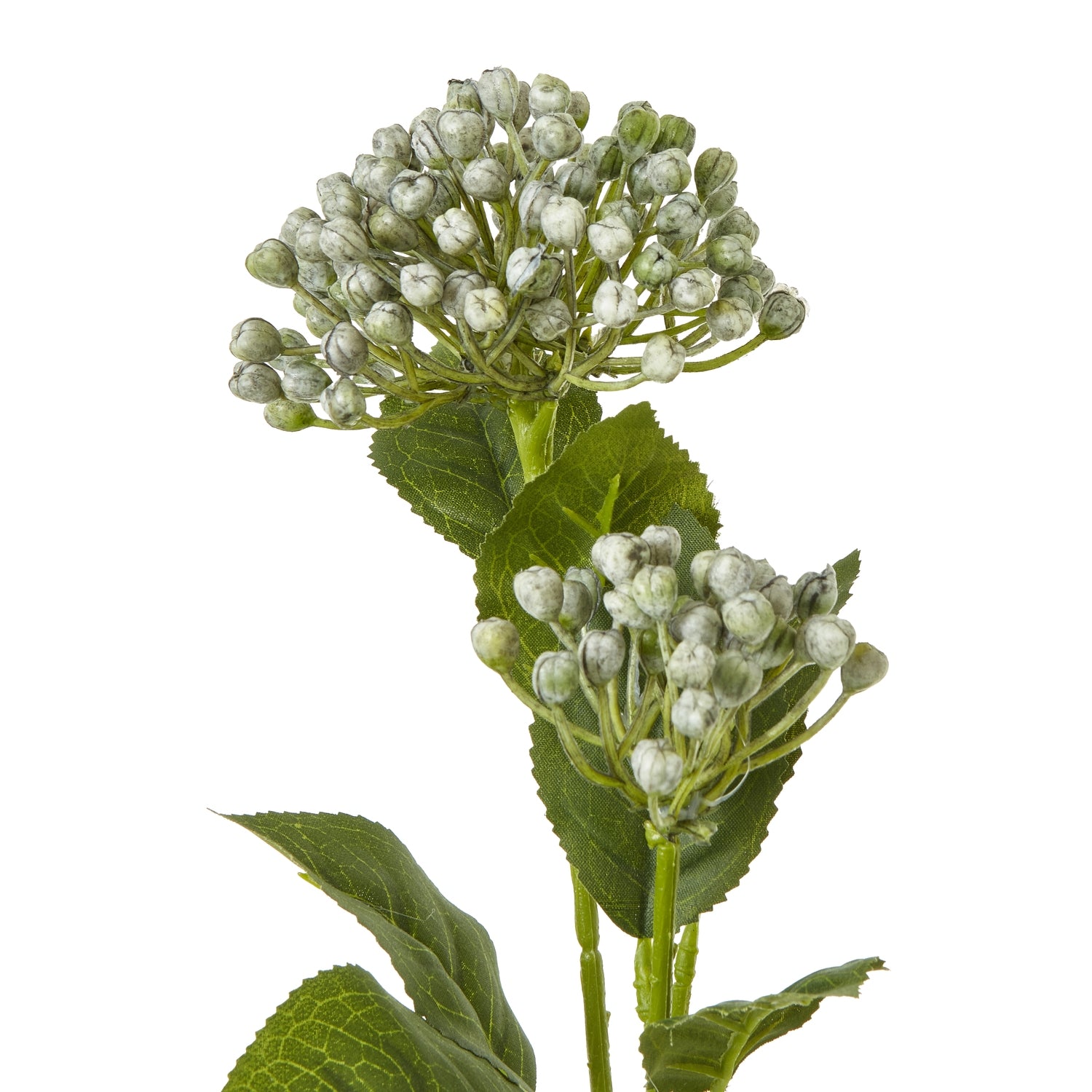 Artificial flower branch with green leaves and white buds on a white background
