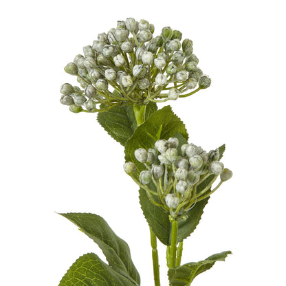 Artificial flower branch with green leaves and white buds on a white background