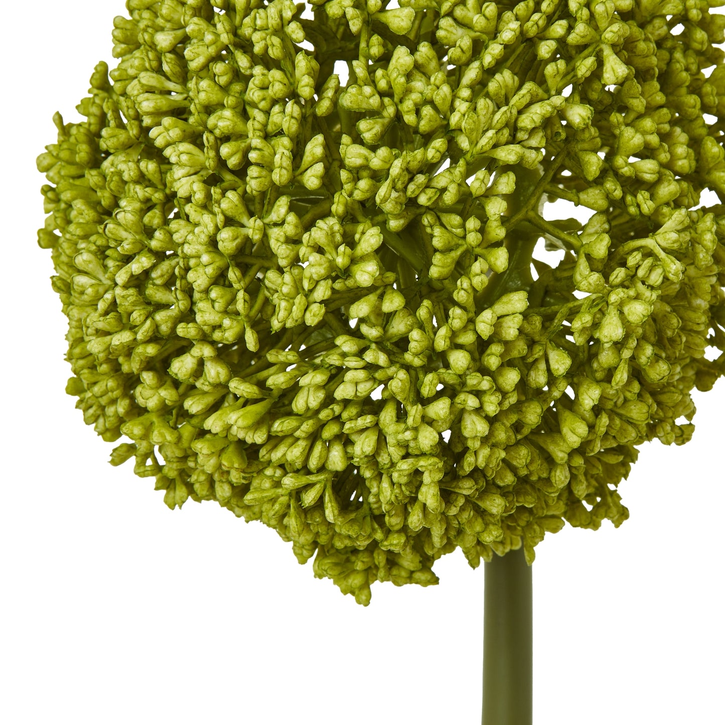 Green Faux Allium Stem, 75cm
