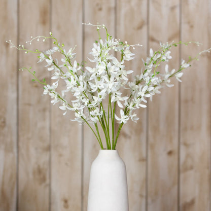 White Cymbidium Spray