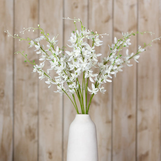 White Cymbidium Spray