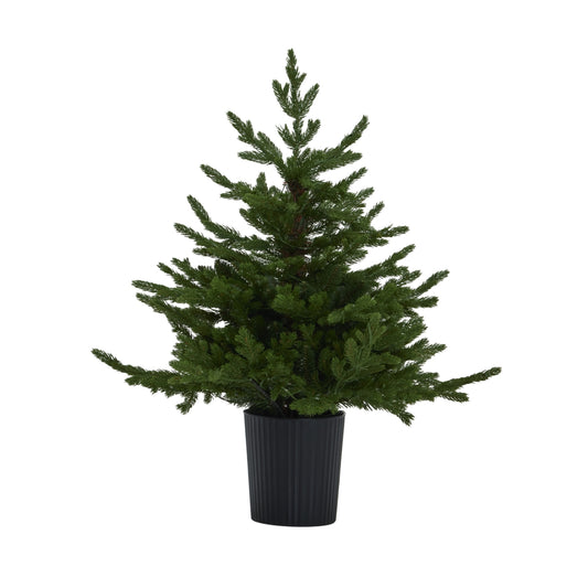 Green Forest Fir Pre-Lit Led 300L Christmas Tree In Pot - PLAINLY DOES IT