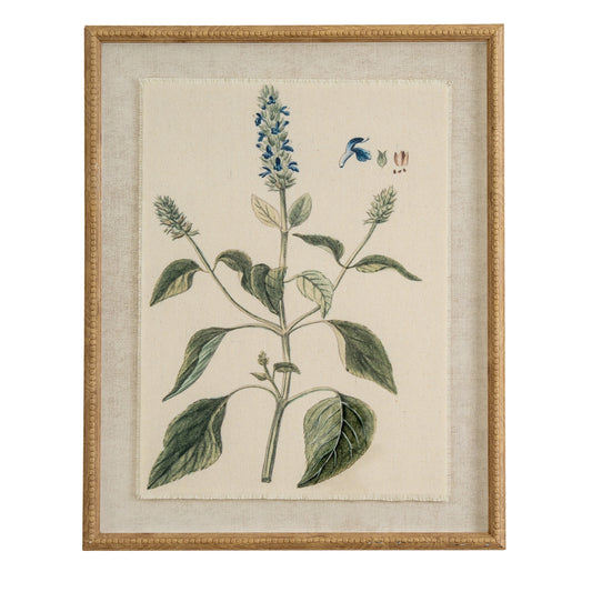 Flora & Fauna Collection Salvia On Linen In Beaded Frame