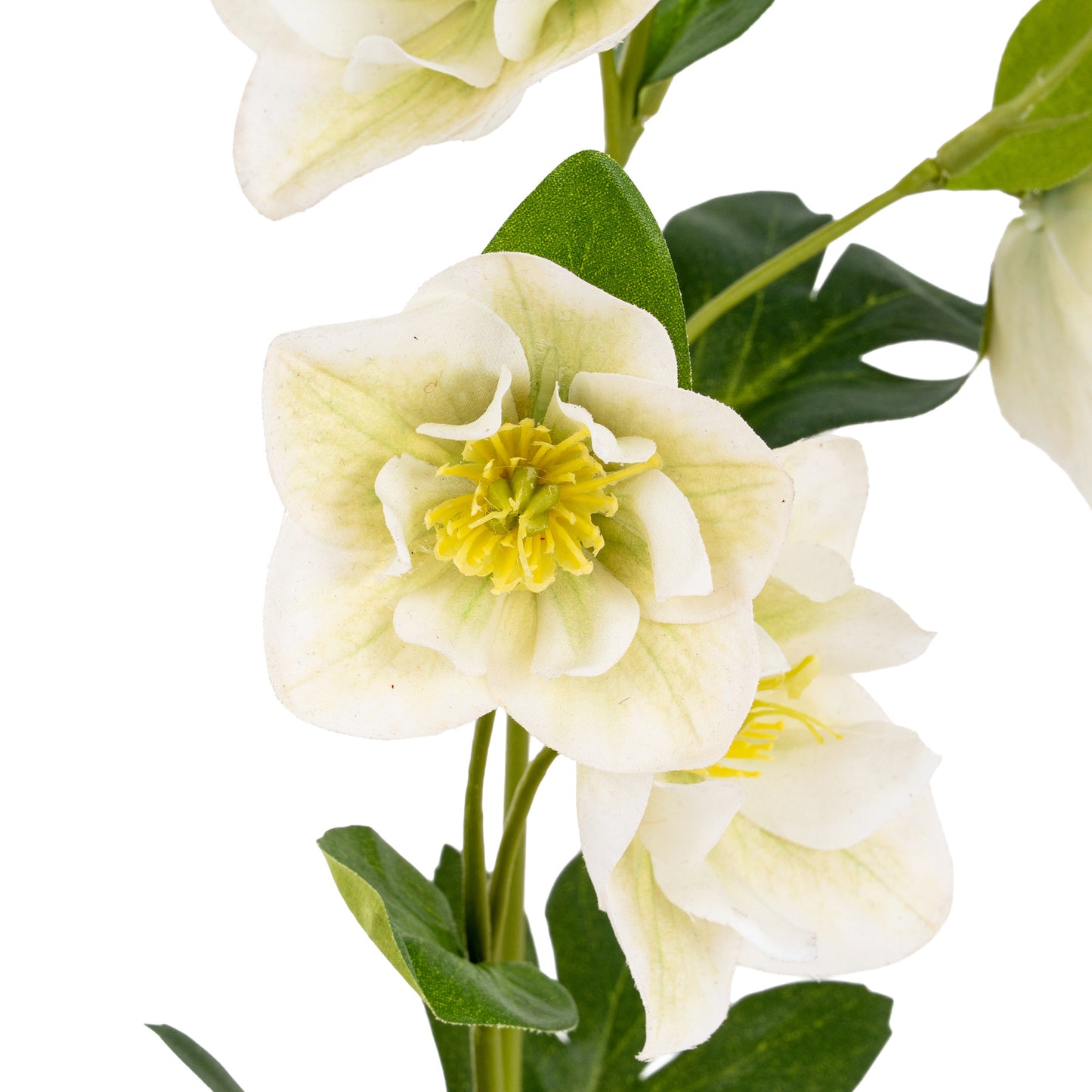 White Faux Hellebore Stem, 45cm