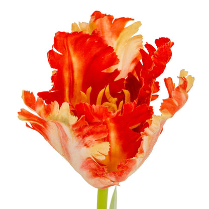 Flame Orange Faux Parrot Tulip Stem, 69cm