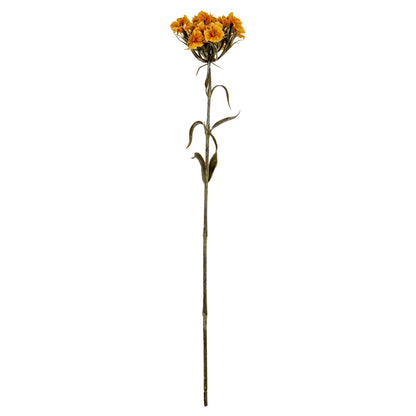 Yellow Dianthus Spray