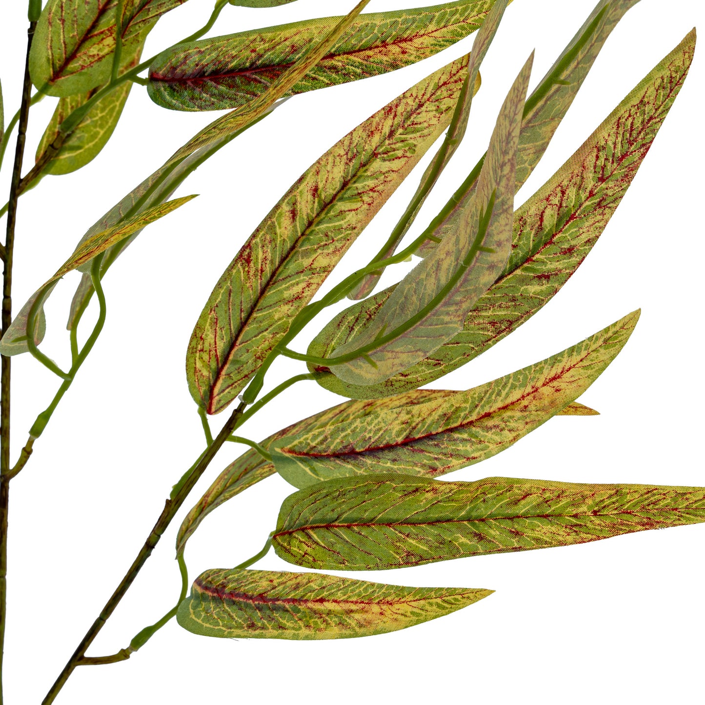 Variegated Faux Long Leaf Eucalyptus Spray, 75cm