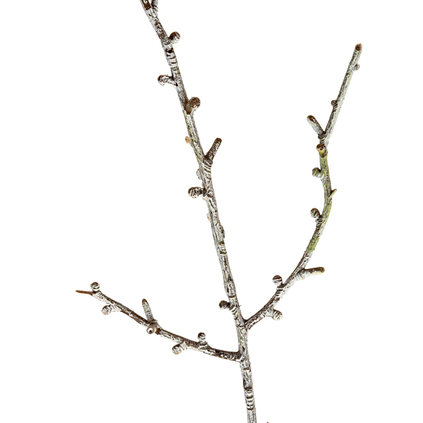 Decorative branch with small berries on a white background