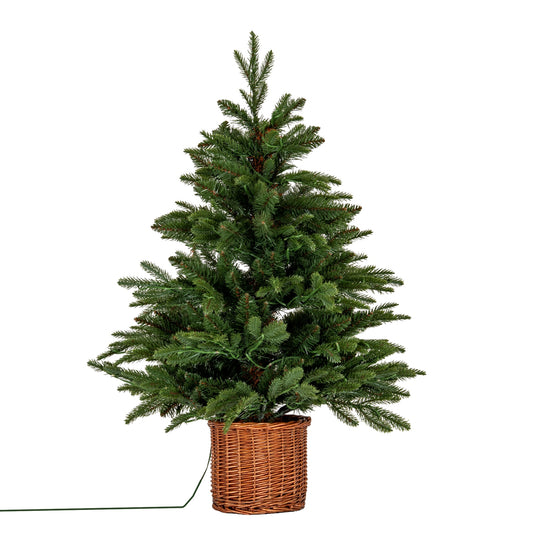 Norway Fir Pre-Lit LLED 300L Fir Tree In Rattan Pot - PLAINLY DOES IT