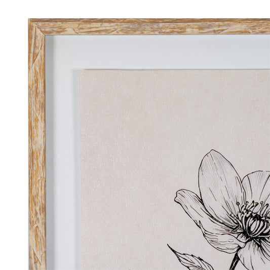 Sketchbook Hellebore in Frame
