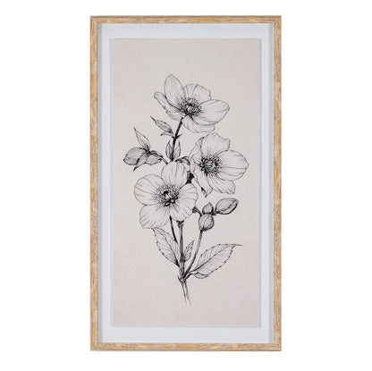Sketchbook Hellebore in Frame