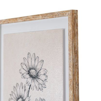 Sketchbook Daisies in Frame