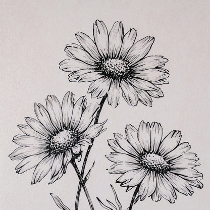 Sketchbook Daisies in Frame