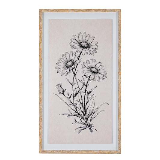 Sketchbook Daisies in Frame