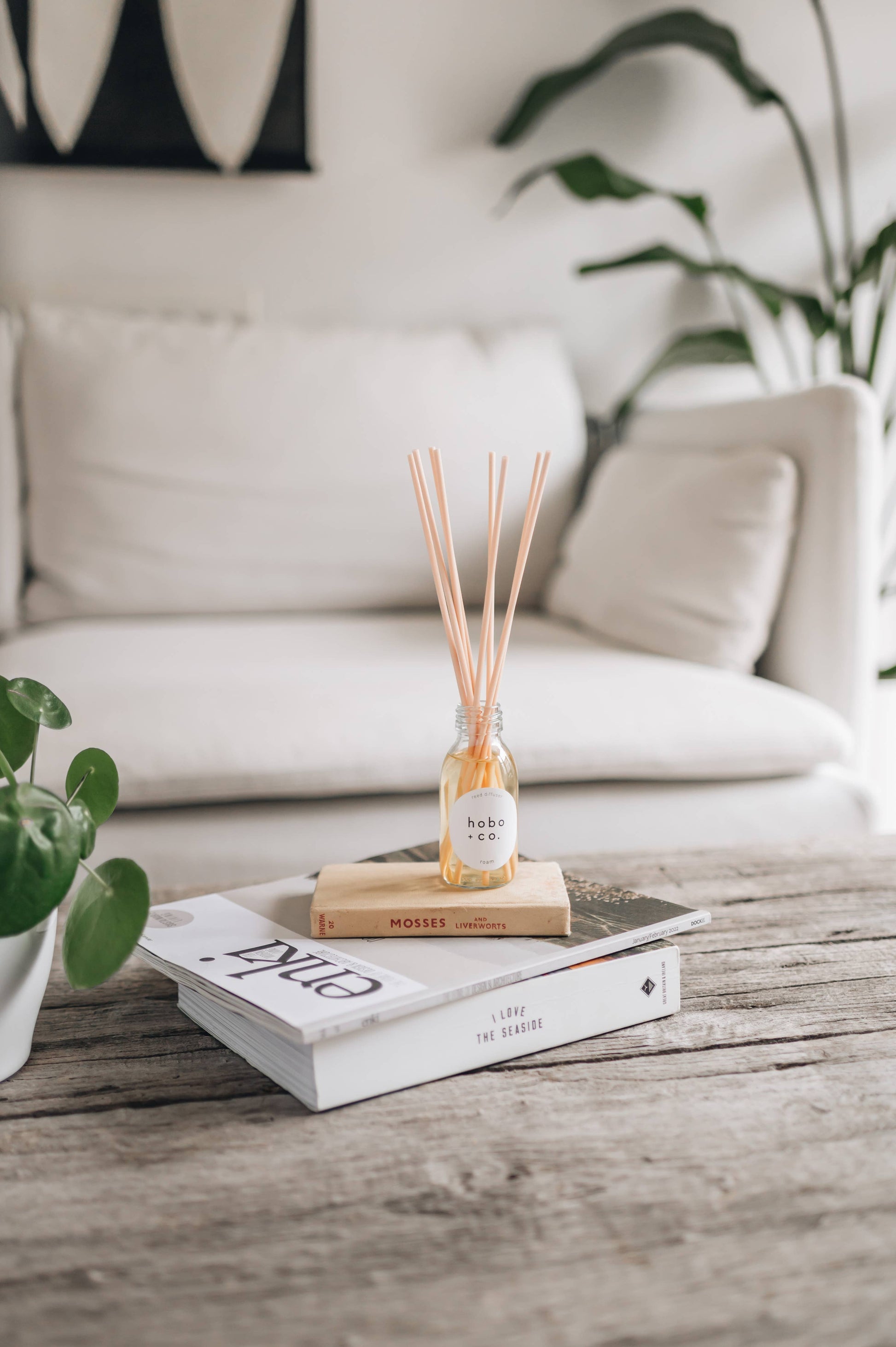 Roam Cedarwood, Lemon & Lemongrass Essential Oil Reed Diffuser, 100ml