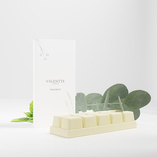 Valentte Patchouli & Eucalyptus Wax Melt included in the gift set